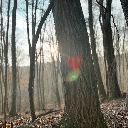 Vineyard Skriti Raj Semesterbostad *