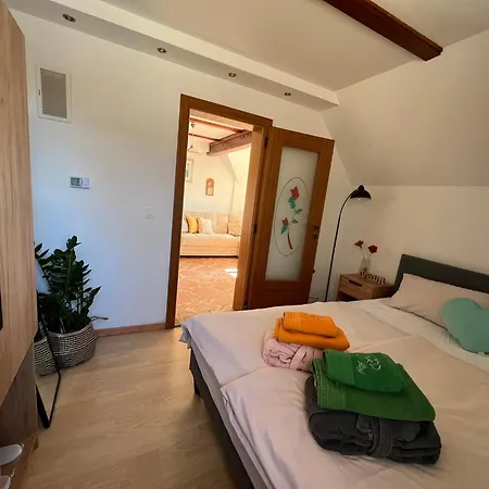 Vineyard Skriti Raj *