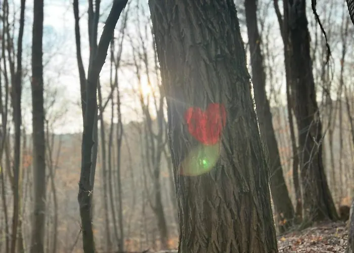 Vineyard Skriti Raj בית נופש *