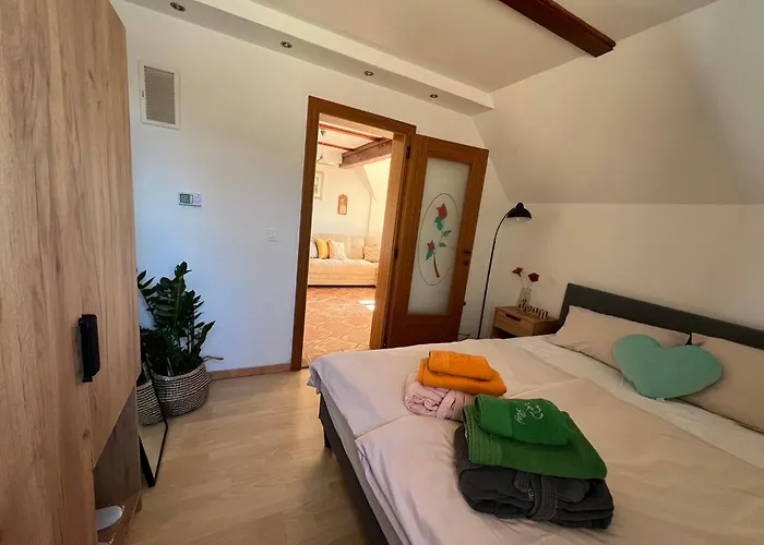 Vineyard Skriti Raj *